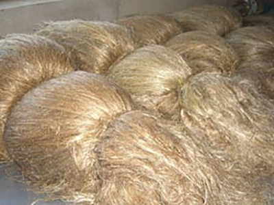 Organic Linen Fiber (1)